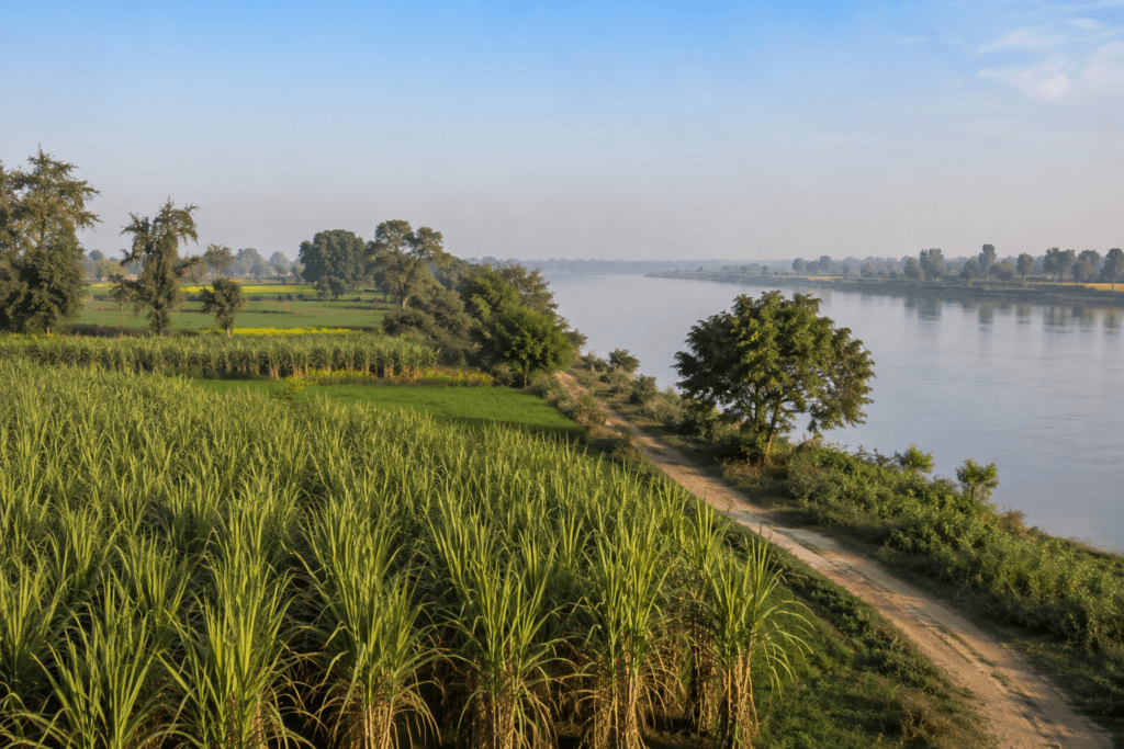 Baghpat