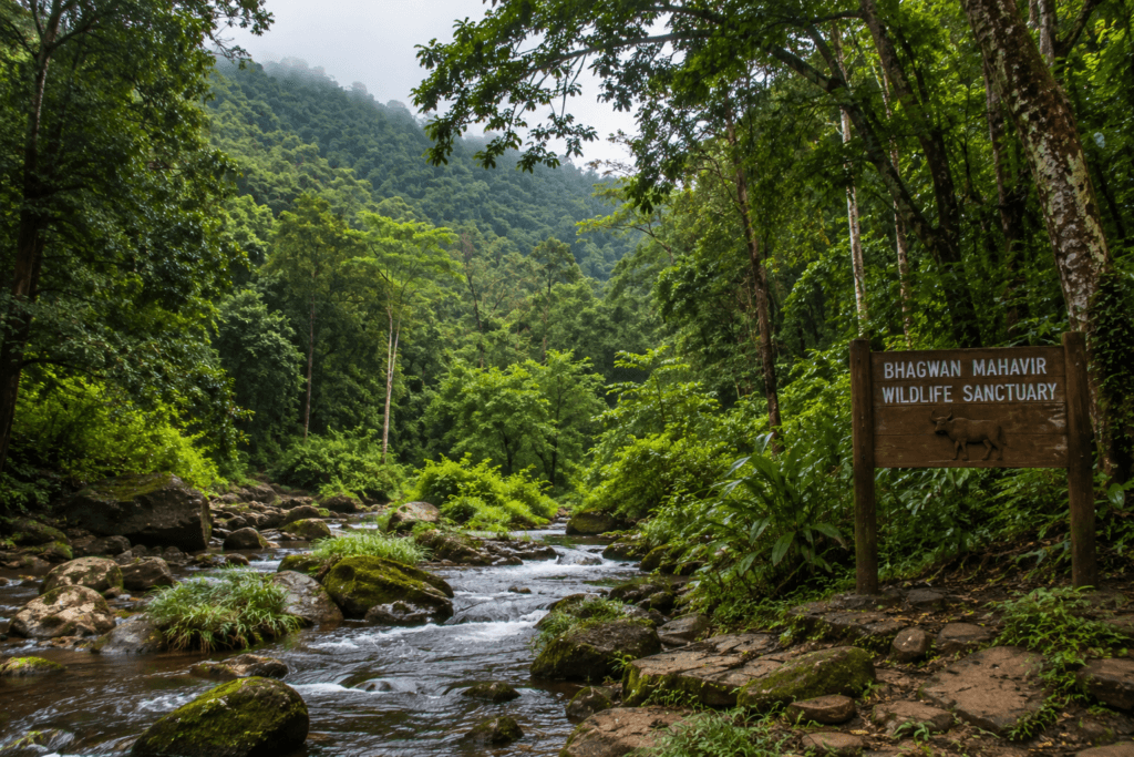 bhagwan mahavir wildlife sanctuary