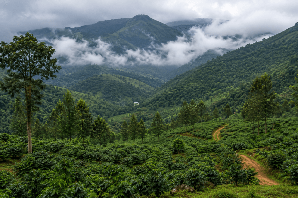 chikkamagaluru