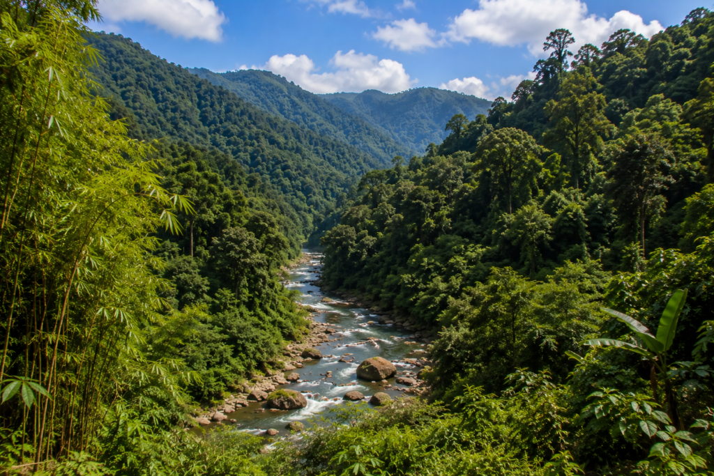 dampa tiger reserve