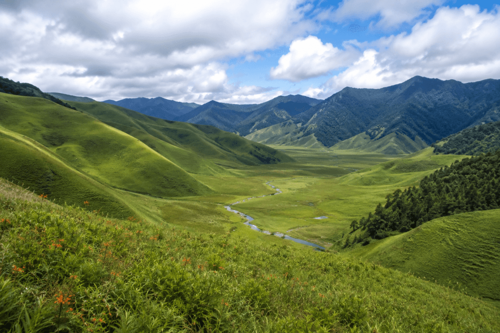 dzükoü valley