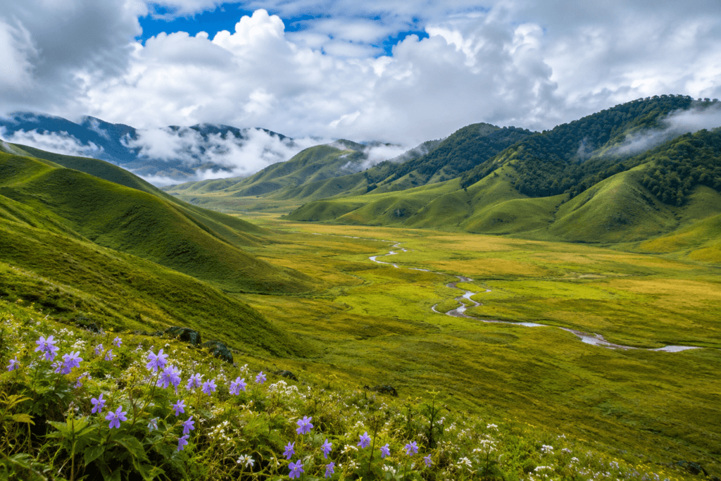 dz眉ko valley