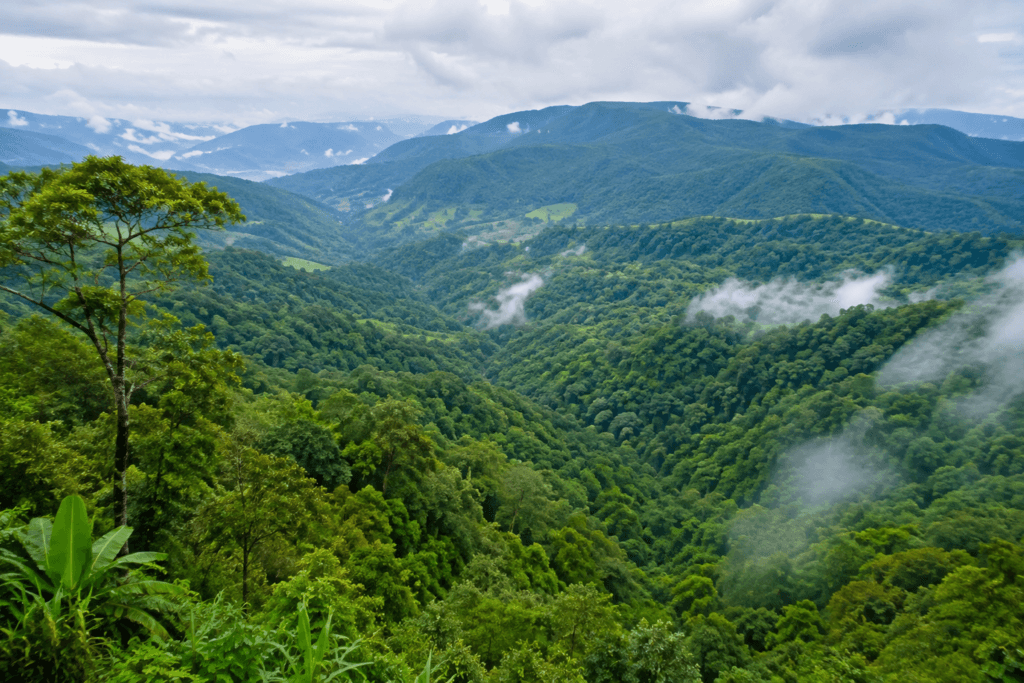 east garo hills