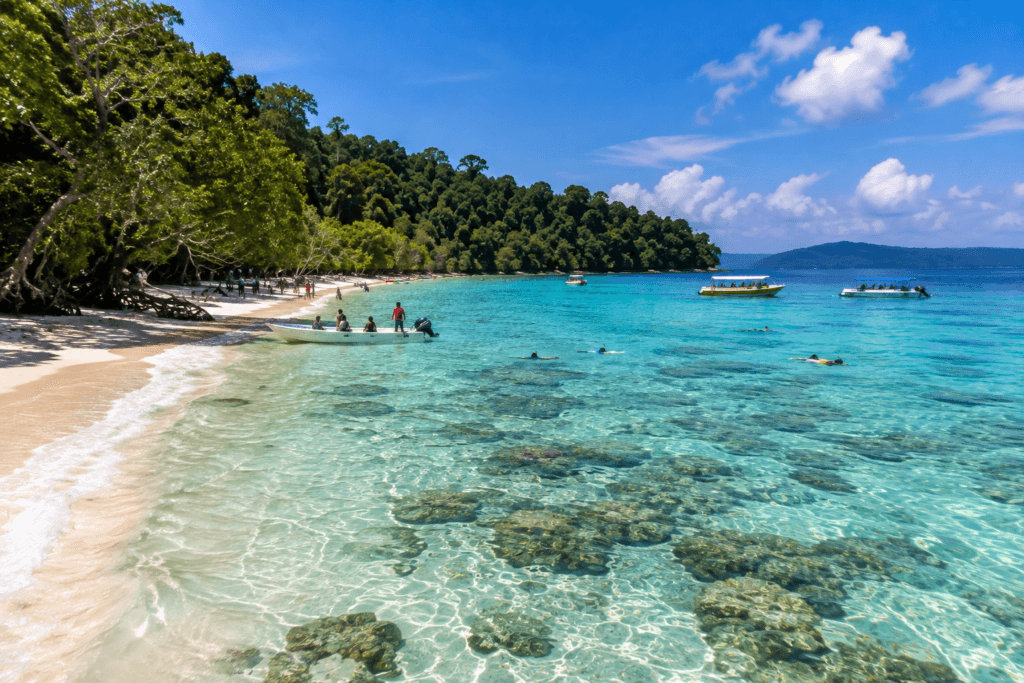 elephant beach