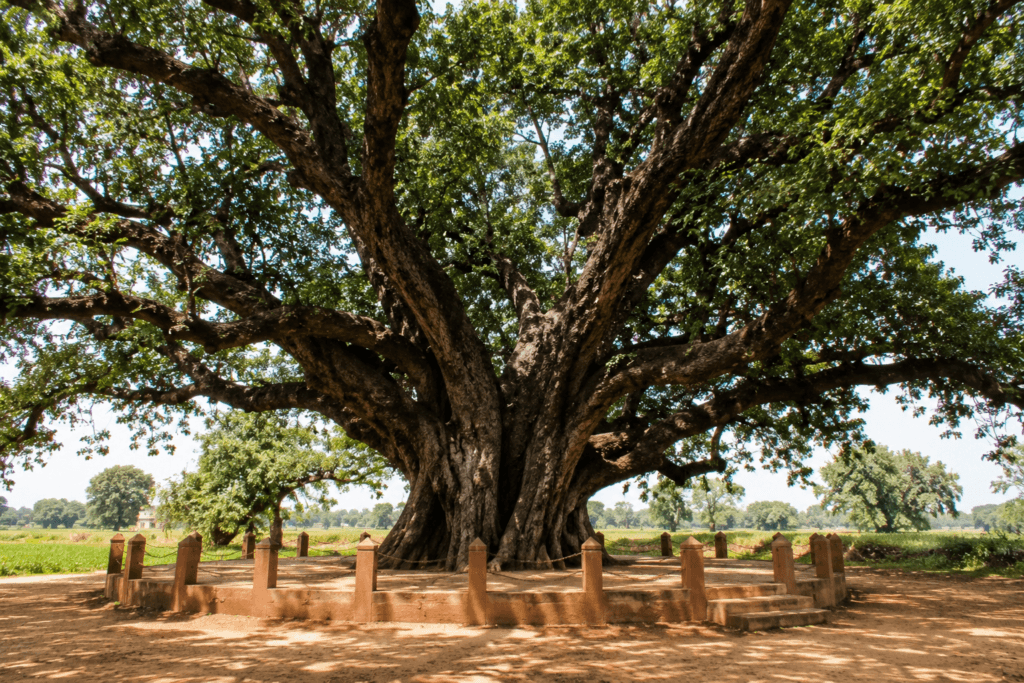Fatehpur
