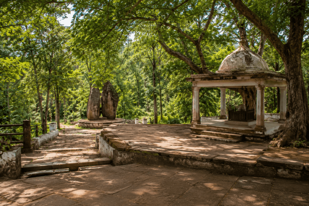 gaurela–pendra–marwahi