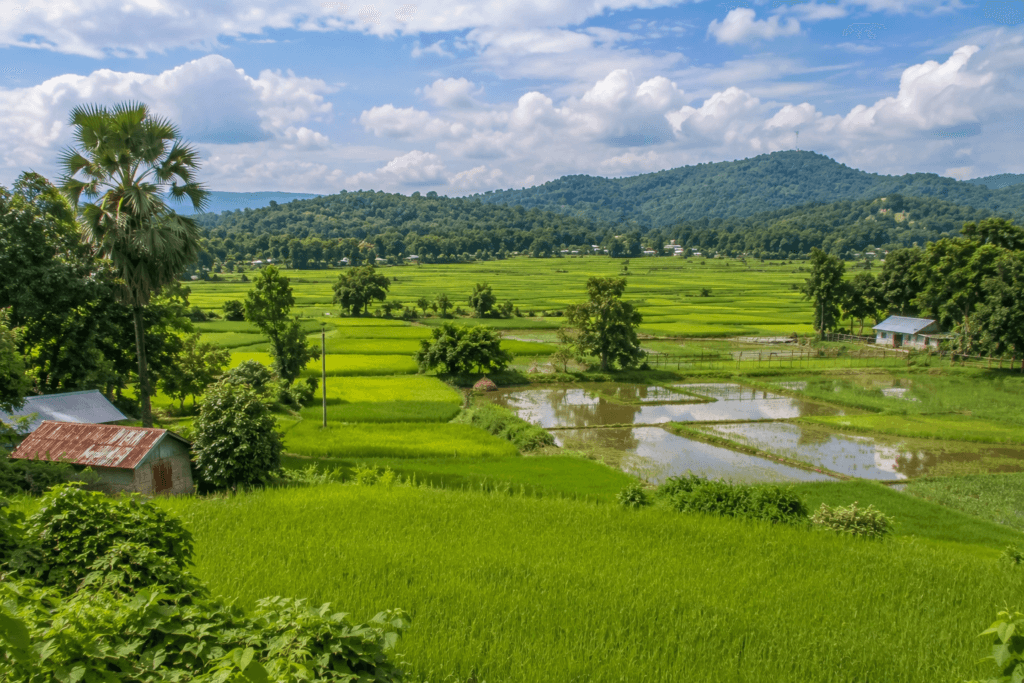 hojai