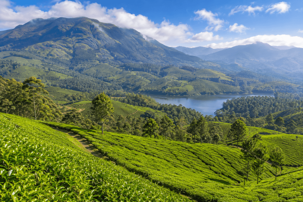 idukki