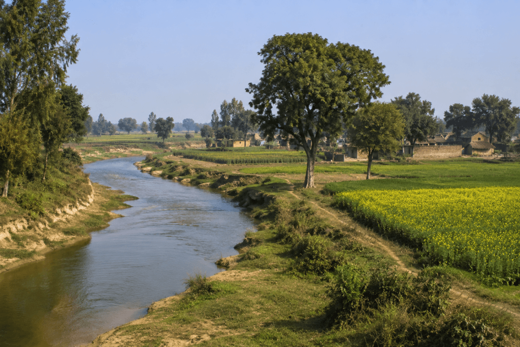 kanpur dehat