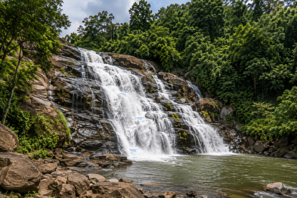 koderma
