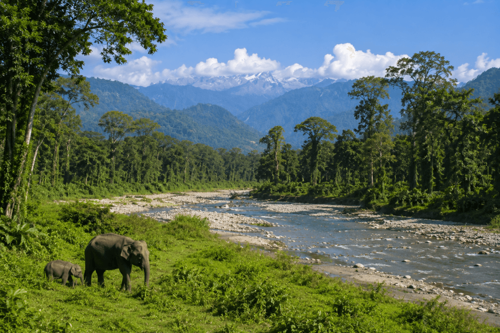 Jalpaiguri