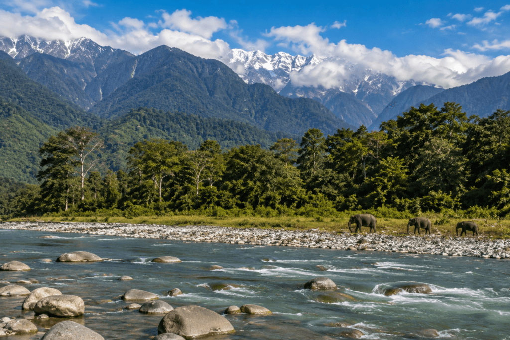 manas national park