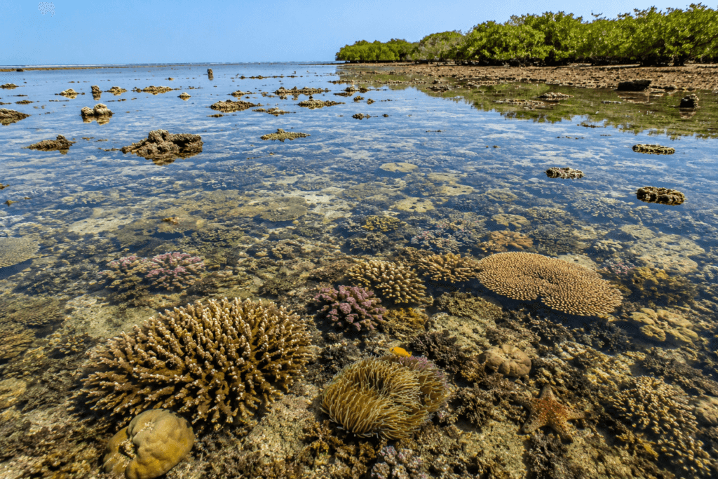 marine national park