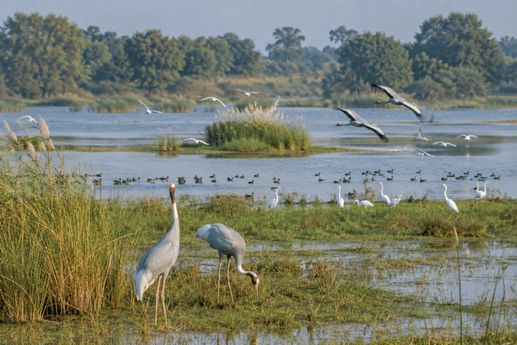 Mainpuri