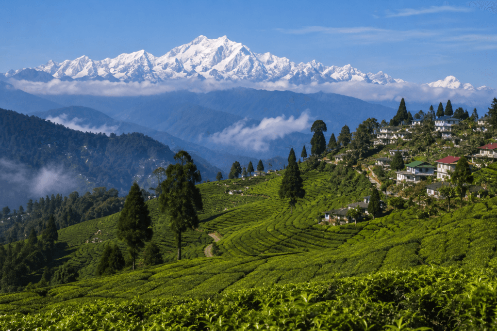 Darjeeling