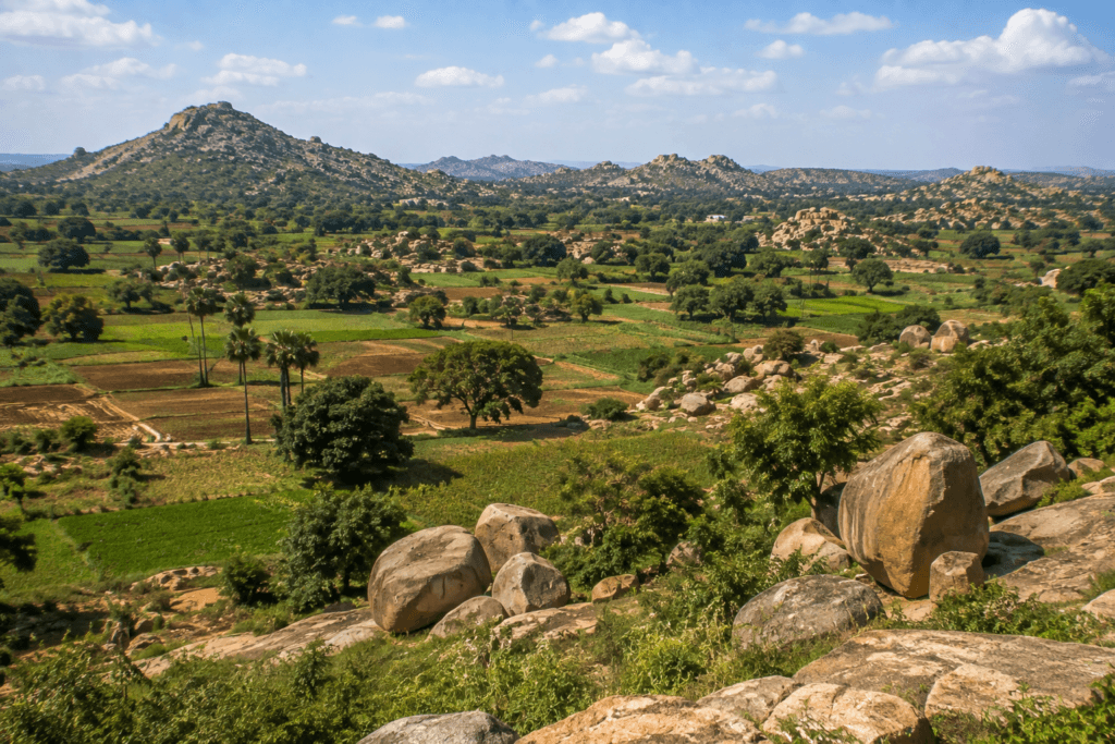 narayanpet