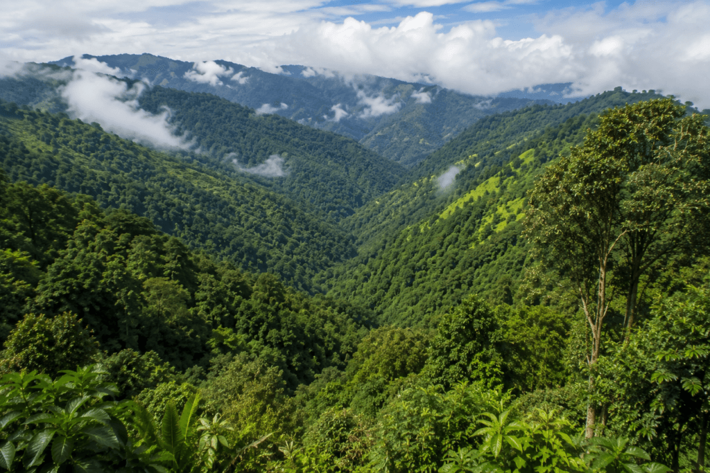 ntangki national park