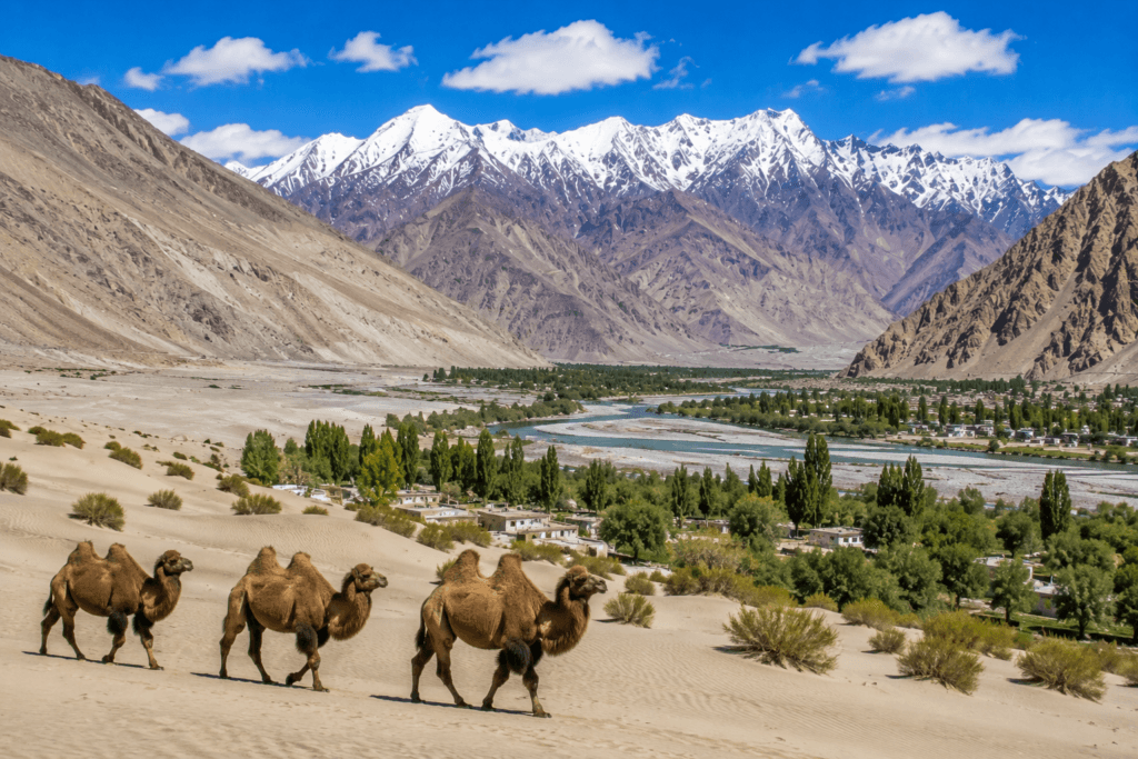 nubra