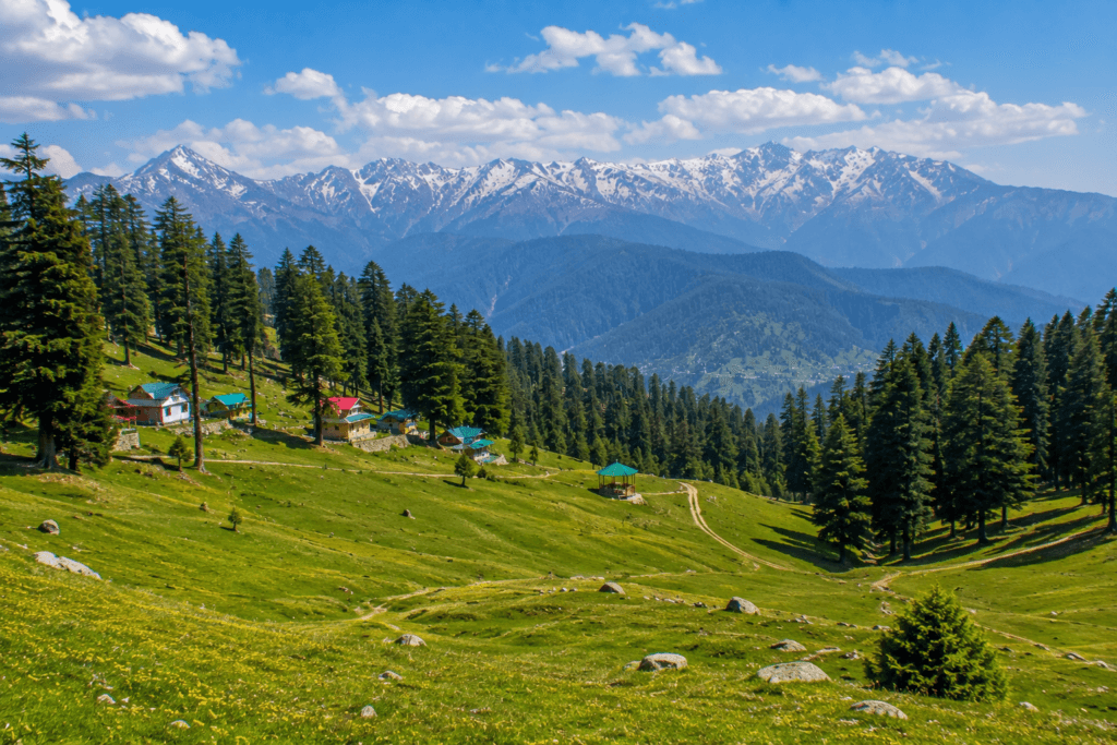 patnitop