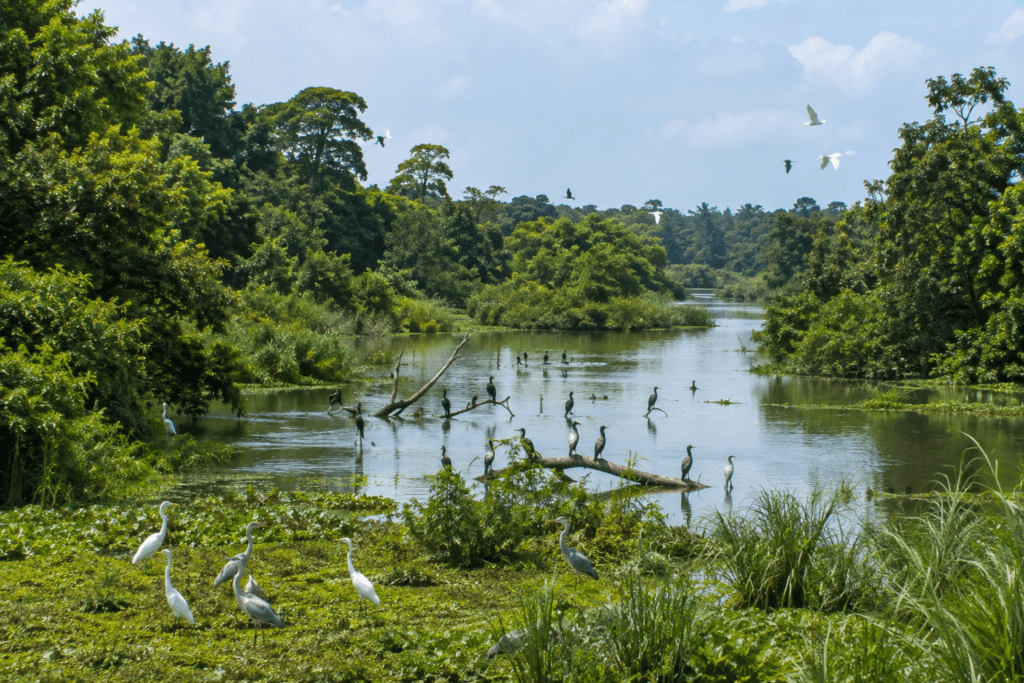 Uttar Dinajpur