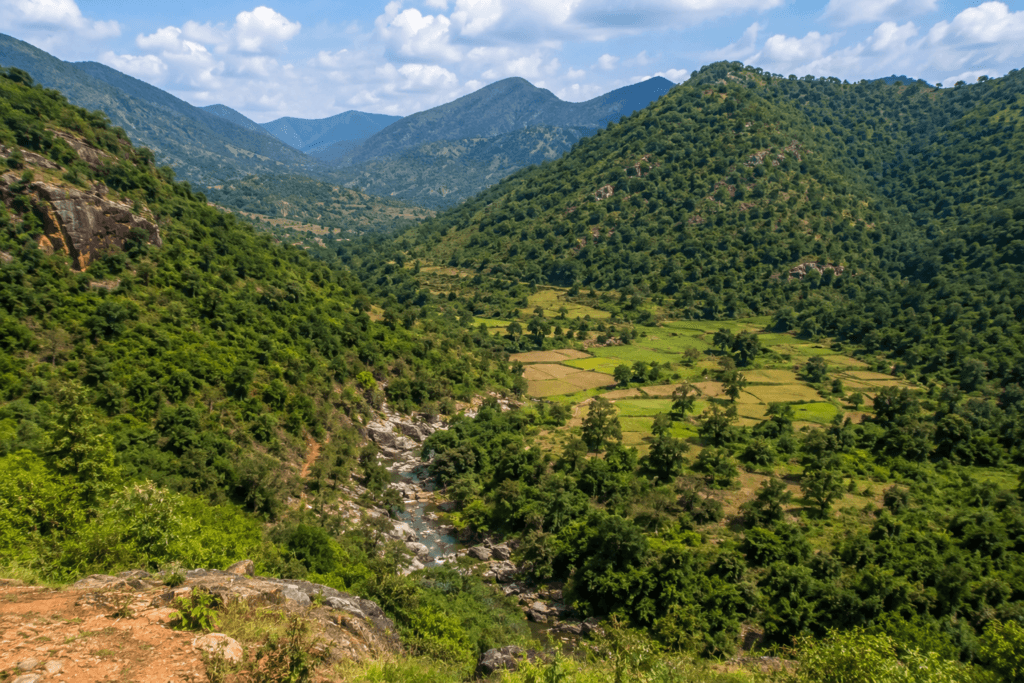 rayagada