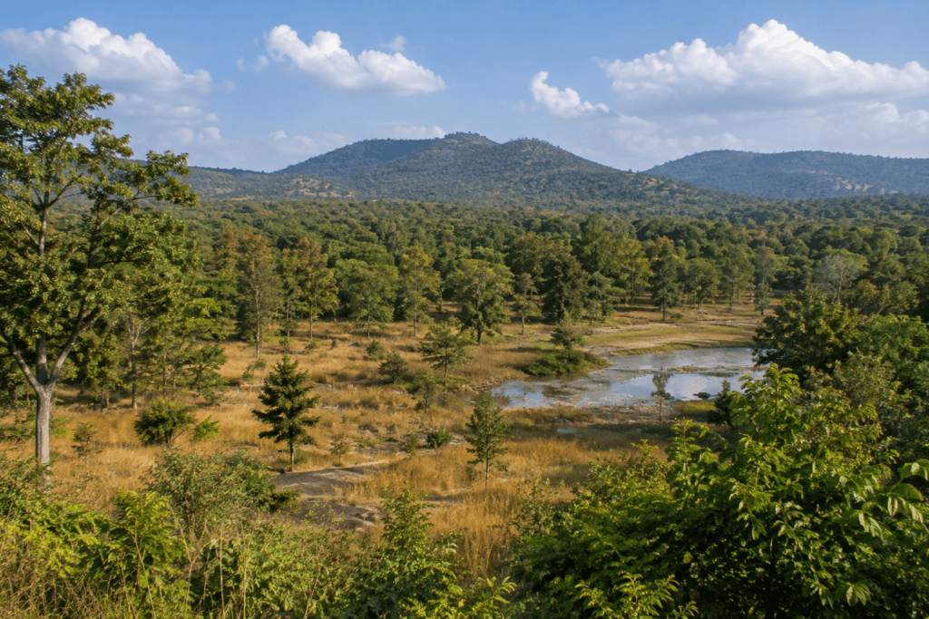 sarangarh–bilaigarh