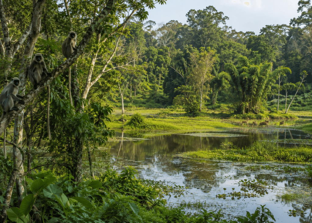 sepahijala wildlife sanctuary