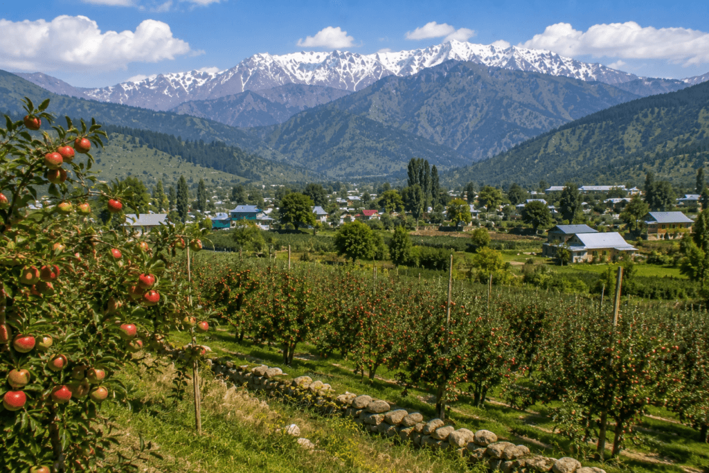 shopian