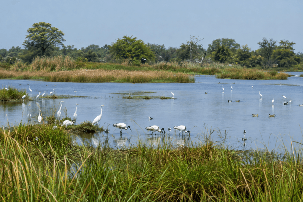 sultanpur national park