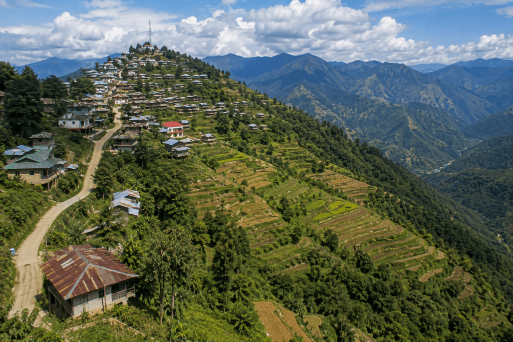 tuensang