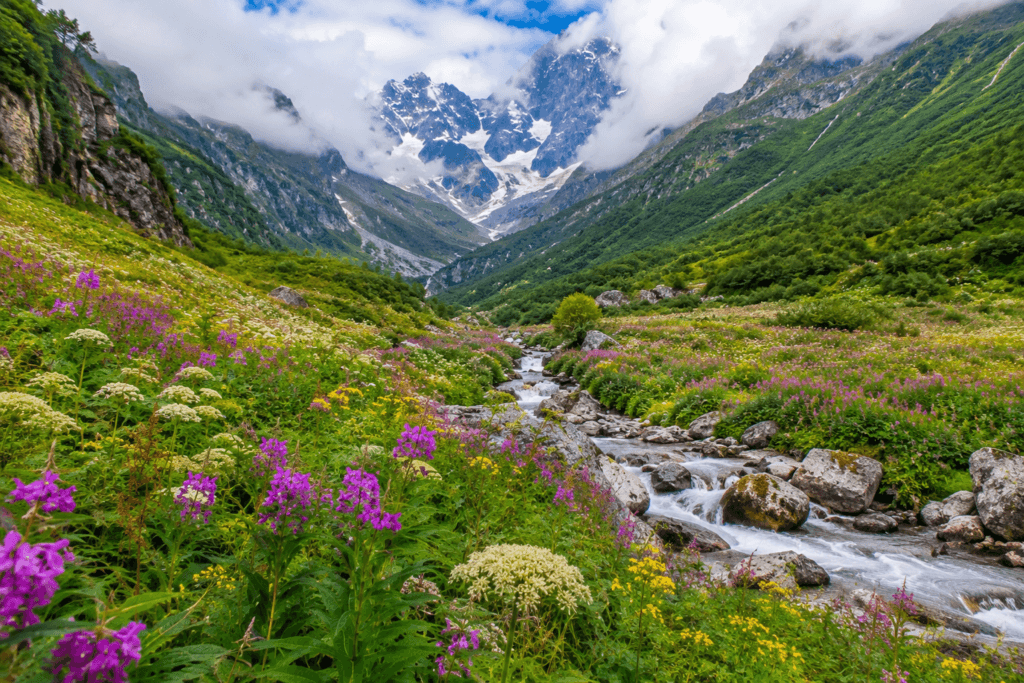 valley of flowers national park