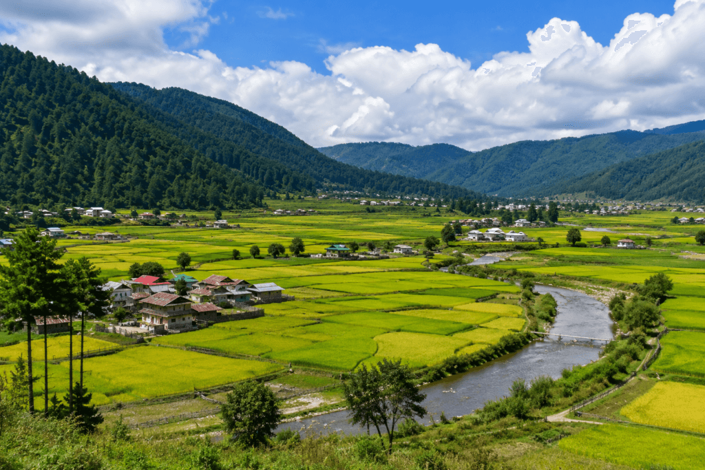 Ziro Valley